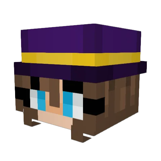 Hat_Kid_2004 Minecraft avatar head, 3D render