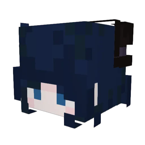 Hat_kid02 Minecraft avatar head, 3D render