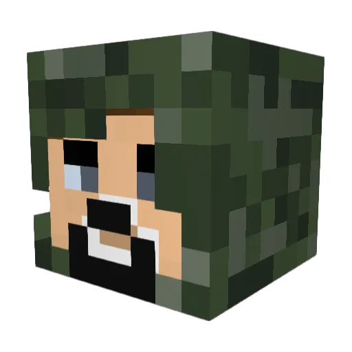 Hatakeeeeeee Minecraft avatar head, 3D render