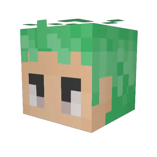 Hatchet414 Minecraft avatar head, 3D render