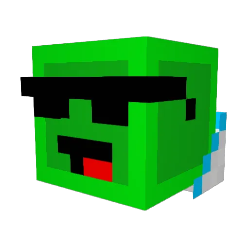 HateCreeperLove Minecraft avatar head, 3D render