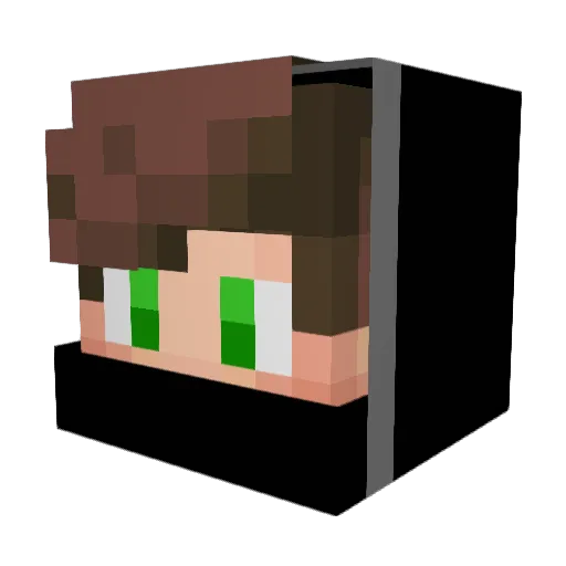 HateDeception Minecraft avatar head, 3D render