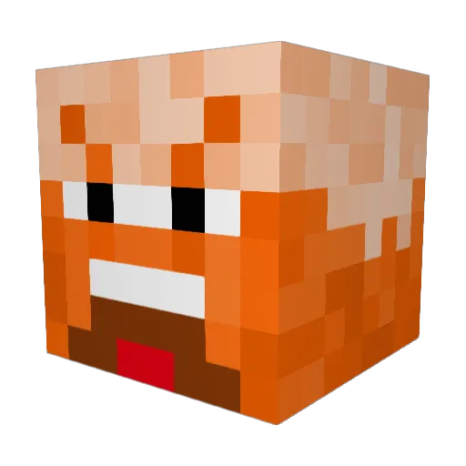 HateFearCorrupt Minecraft avatar head, 3D render