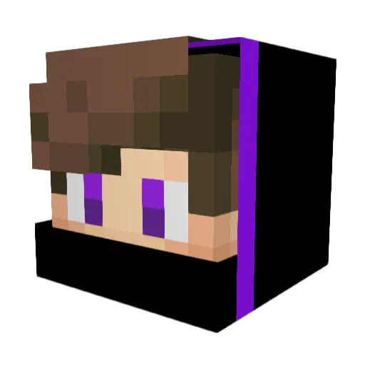 HatePunishment Minecraft avatar head, 3D render