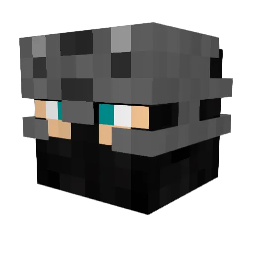 HateWate Minecraft avatar head, 3D render