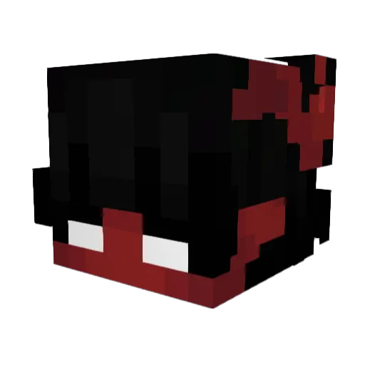 HatedPsK8 Minecraft avatar head, 3D render