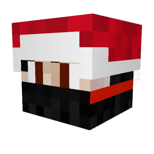 Haten0 Minecraft avatar head, 3D render