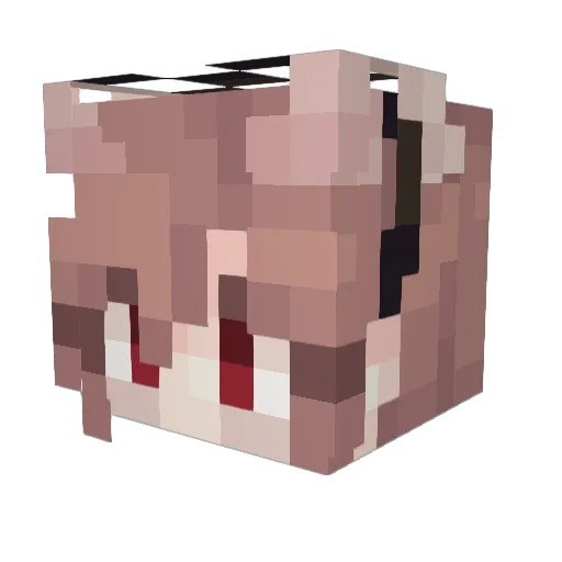 HaterOfPears Minecraft avatar head, 3D render