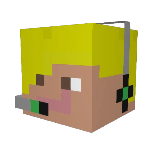 HaterSlayer101 Minecraft avatar head, 3D render