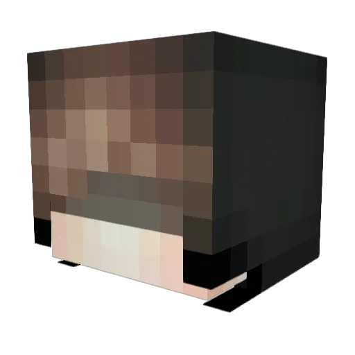 Hatred_41 Minecraft avatar head, 3D render