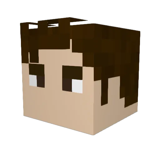 Hatter6666 Minecraft avatar head, 3D render