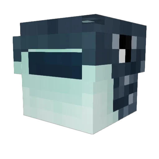 Hatti_ Minecraft avatar head, 3D render