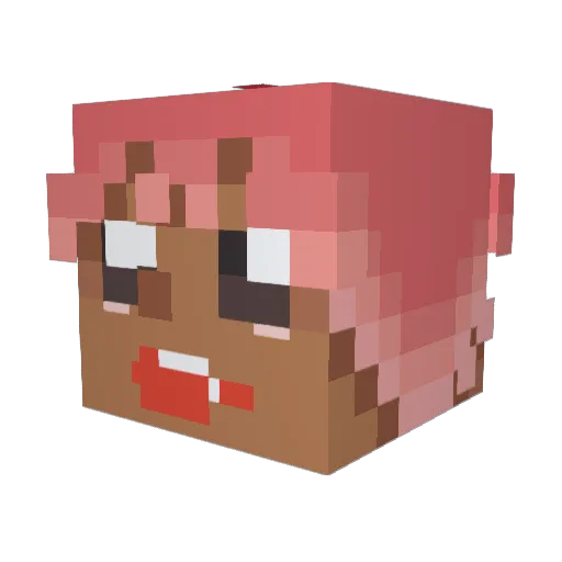 Hattnyan Minecraft avatar head, 3D render