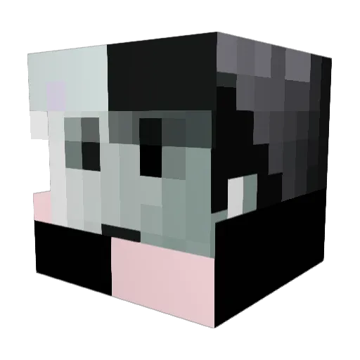 Hau_0808 Minecraft avatar head, 3D render