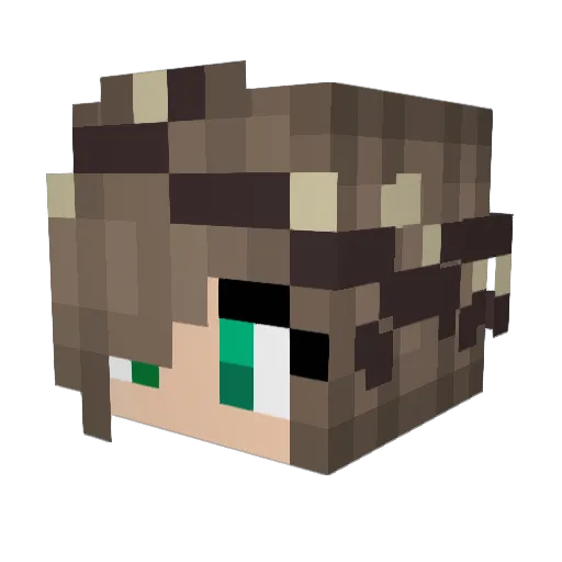 Hauben_traeger Minecraft avatar head, 3D render