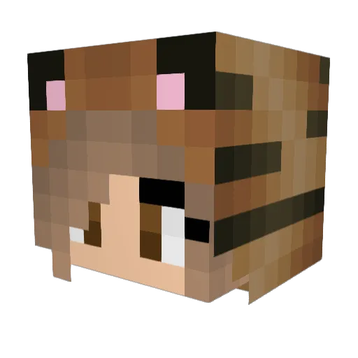 Haugen007 Minecraft avatar head, 3D render