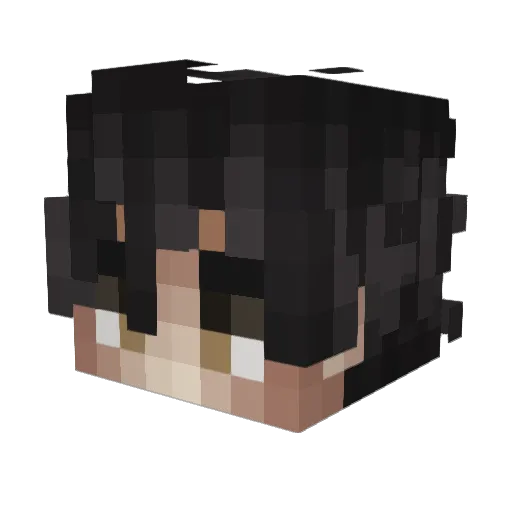 Haukins Minecraft avatar head, 3D render