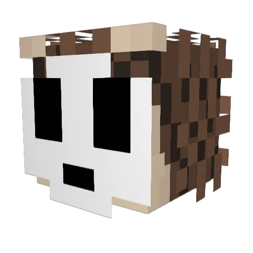 HauntingBark142 Minecraft avatar head, 3D render