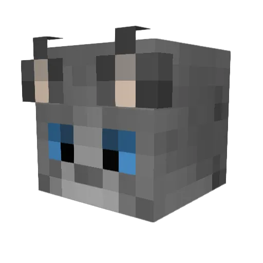 HauntingCat Minecraft avatar head, 3D render