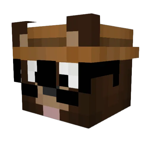 Hausafe Minecraft avatar head, 3D render