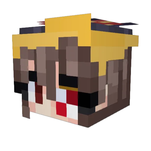 Haustuere Minecraft avatar head, 3D render