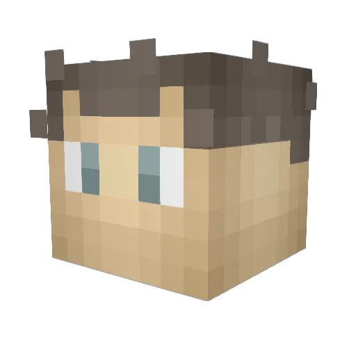 Hausverstand Minecraft avatar head, 3D render
