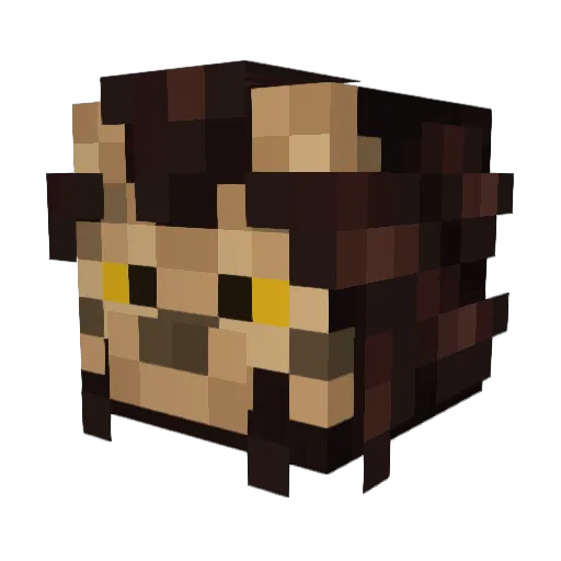 Hav4k Minecraft avatar head, 3D render
