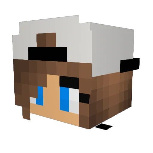 Havaanah Minecraft avatar head, 3D render