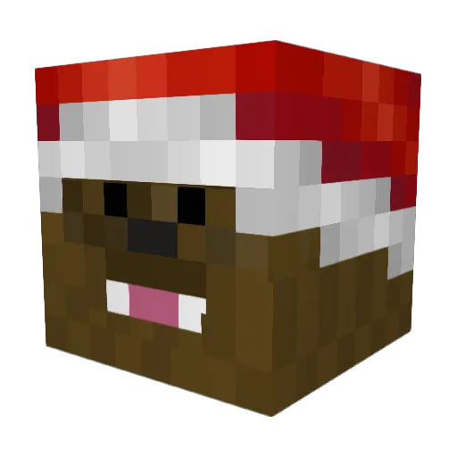 HaveStar Minecraft avatar head, 3D render