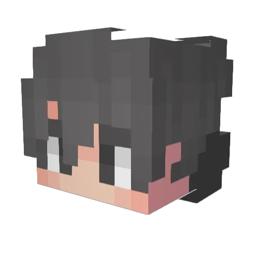 Have__A Minecraft avatar head, 3D render
