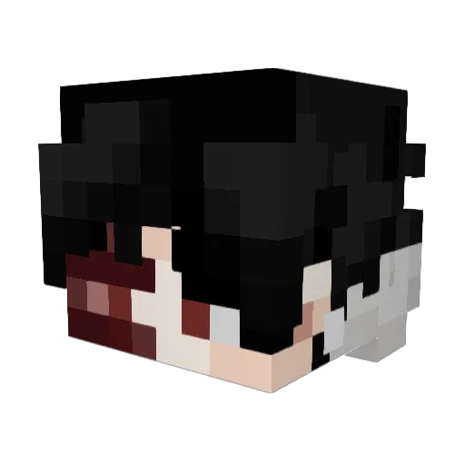 HaveaNiceLife_ Minecraft avatar head, 3D render