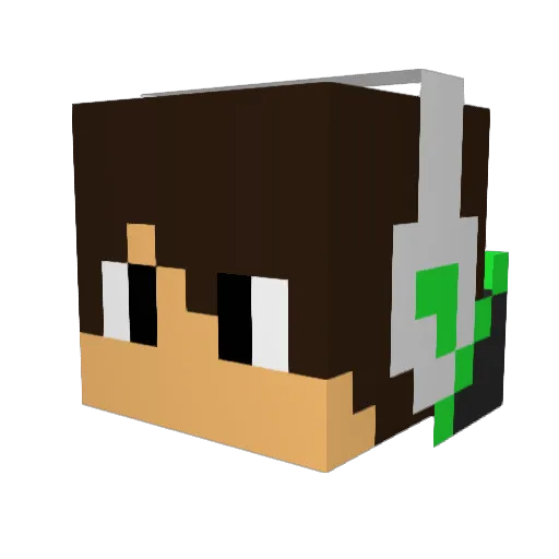 HaveanTR Minecraft avatar head, 3D render