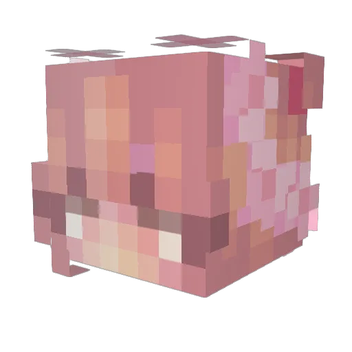 Havendaze Minecraft avatar head, 3D render