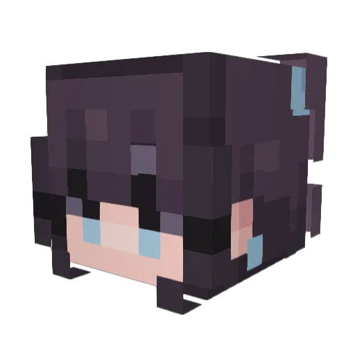 Havenesa Minecraft avatar head, 3D render