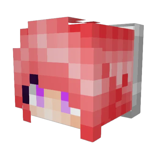 Havenhope Minecraft avatar head, 3D render