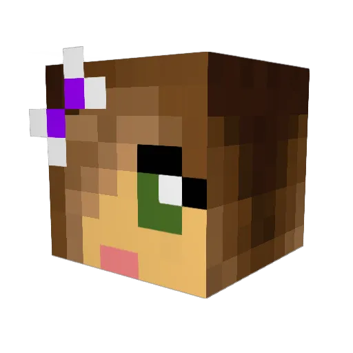 Havenwar Minecraft avatar head, 3D render