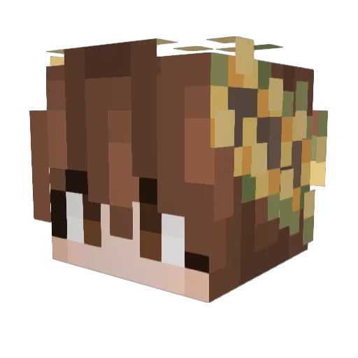 Havermaud13 Minecraft avatar head, 3D render