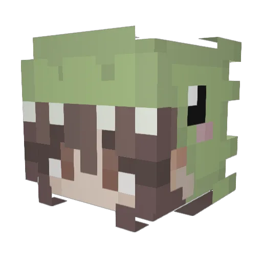 Haveyoumetkaan Minecraft avatar head, 3D render