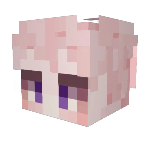 Havian Minecraft avatar head, 3D render