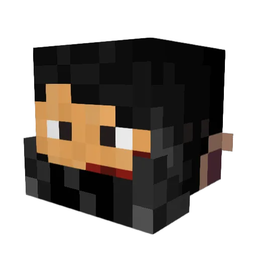 Havixus Minecraft avatar head, 3D render