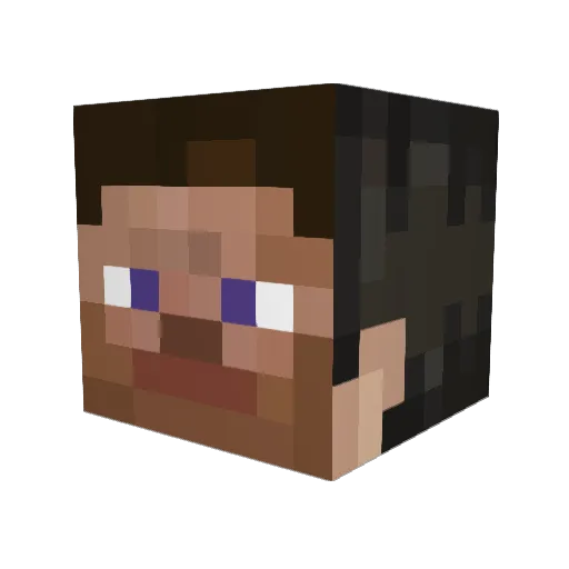 Havlog55 Minecraft avatar head, 3D render