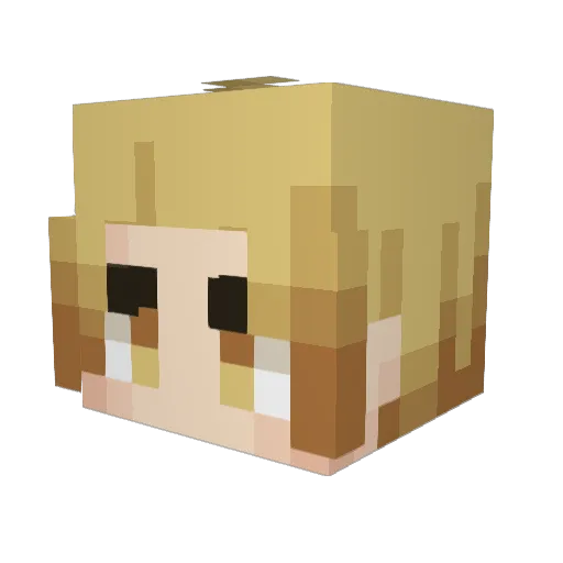 Havoc2LT Minecraft avatar head, 3D render