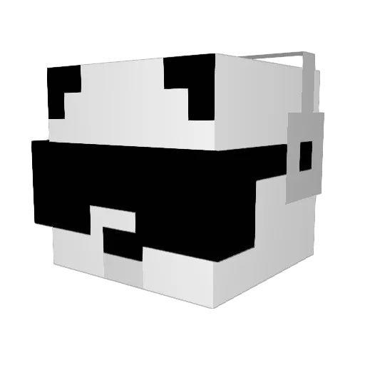 Havok2011 Minecraft avatar head, 3D render