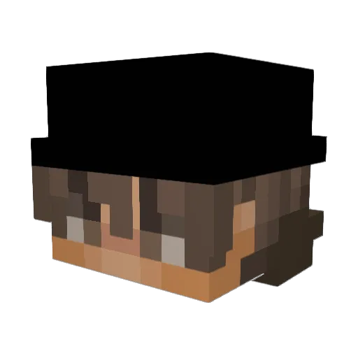 Havok2020 Minecraft avatar head, 3D render