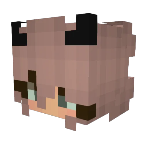 Havok2k Minecraft avatar head, 3D render