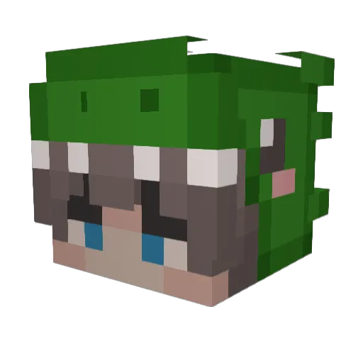 Havooc Minecraft avatar head, 3D render