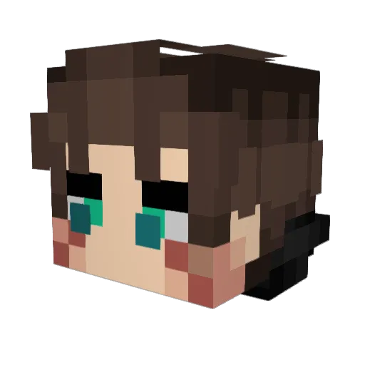 Havoocc Minecraft avatar head, 3D render