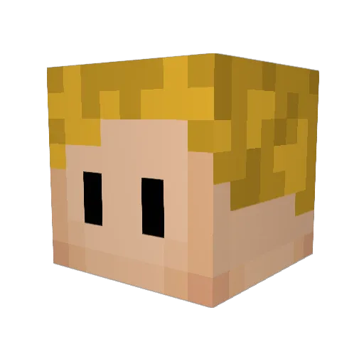Havorraco Minecraft avatar head, 3D render
