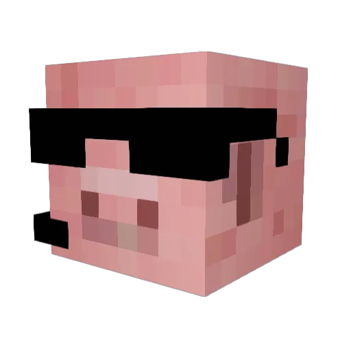 HawHaw21 Minecraft avatar head, 3D render