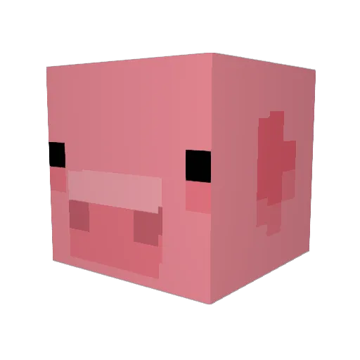 HawaiiESgaming Minecraft avatar head, 3D render